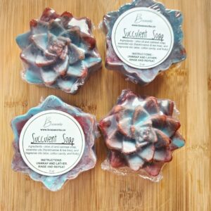 Succulent Soap